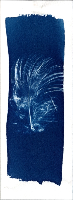 Marque-page Plume inconnue réalisé par Martin Paon