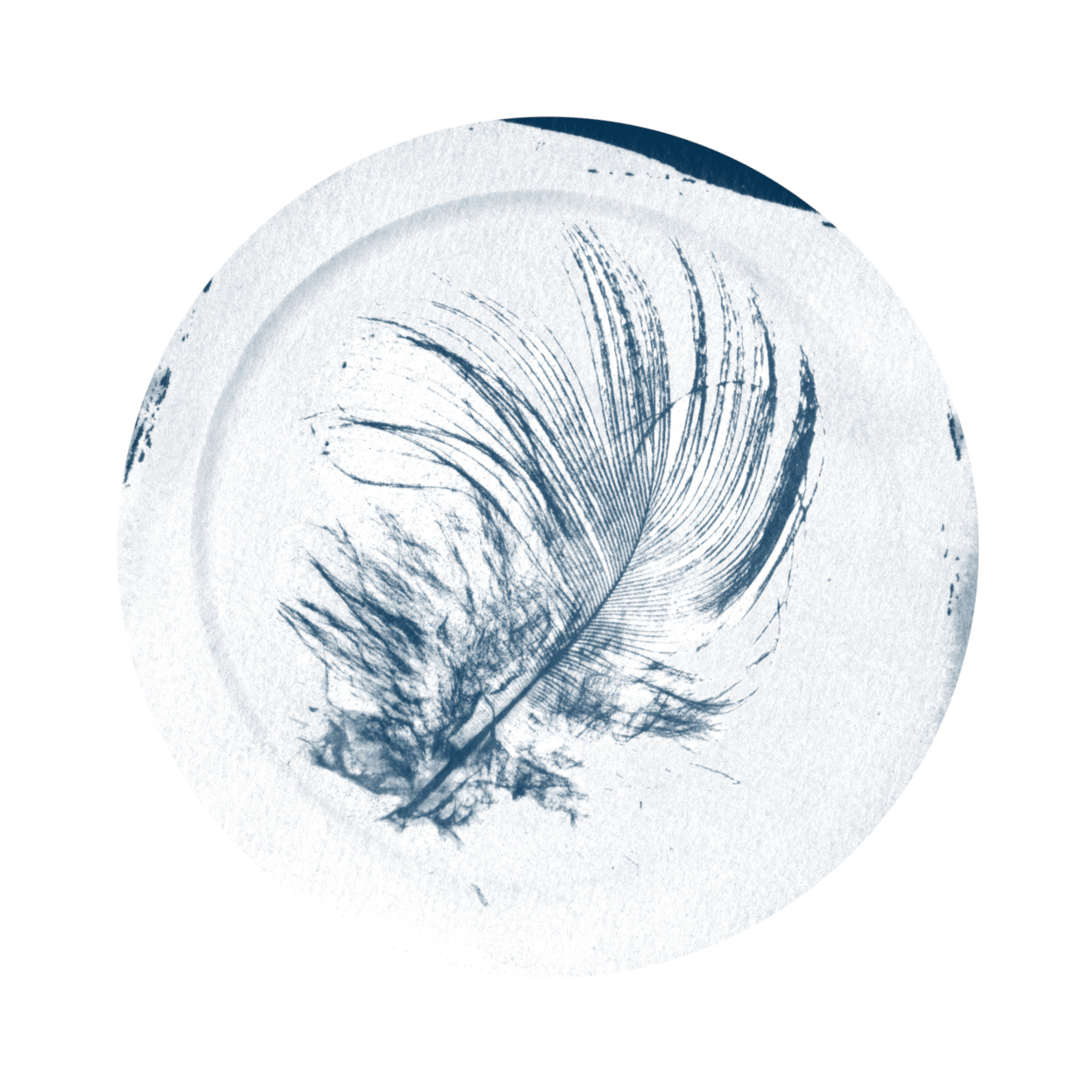 Logo des éditions À l&rsquo;Arrache-plume crée par Joan Dubuisson