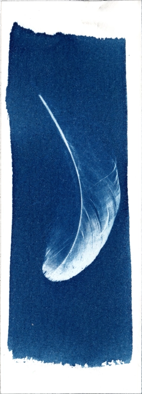 Marque-page Plume-Lune réalisé par Martin Paon